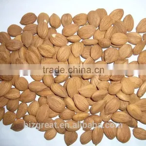 Longwang Bulk Sweet Apricot Kernels for Sales thumbnail-2