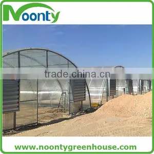 Economical Tunnel Greenhouse thumbnail-3