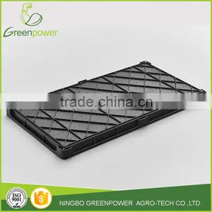 Rice Seeding Tray thumbnail-2
