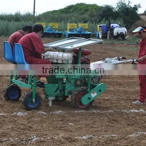 Two Row Transplanting Onions by Hand in China thumbnail-5