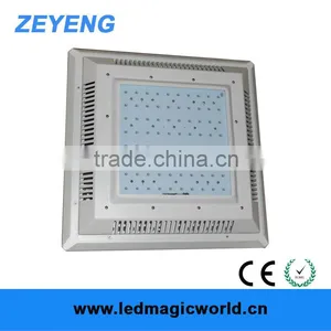 New Hot Flame Safety Lamp LED thumbnail-1