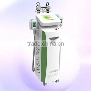 Vertical Cryolipolysis Fat Freezing Cryolipolysis Machine Weight Loss Beauty Spa/ Clinic For Sale Reduce Cellulite thumbnail-1
