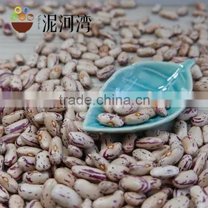 New CROP Light Speckled Kidney Bean 2016 Crop Hot Sale thumbnail-2