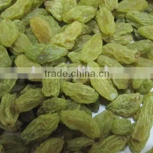 Green Raisins thumbnail-1