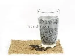 Asian Basil thumbnail-3