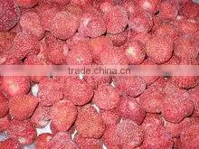 Frozen Strawberry for Jam Production thumbnail-1
