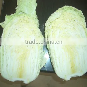 Fresh Chinese Green Cabbage thumbnail-1