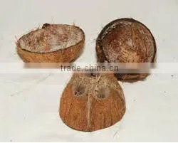 High Quality Decilious Cheap India Coconut Shell thumbnail-1