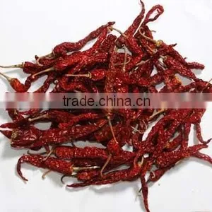 Indian Red Chily thumbnail-3