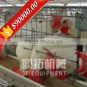 Full Automatic Equipment A Type Poultry House Automatic Chicken Layer Cage for Sale in Philippines thumbnail-1