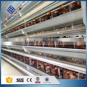 30 Years' Factory Supply Automatic Chicken Broiler Cages thumbnail-1