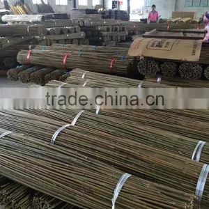 FD-20151231 Decorative Bamboo Pole/ Large Bamboo Fishing Poles thumbnail-1