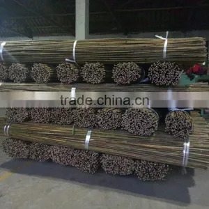 FD17-Tea Stalk Bamboo. thumbnail-1