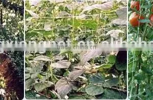 Knitted and Extruded Garden Netting thumbnail-1