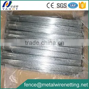BWG 18 Galvanized Straight Wire For Construction Binding thumbnail-1