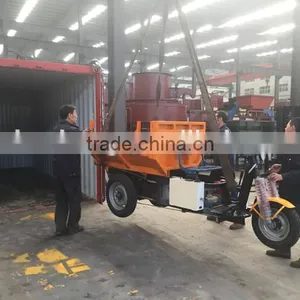 Diesel Engine Light 1t Dumper Tricycle Sale to Peru thumbnail-3