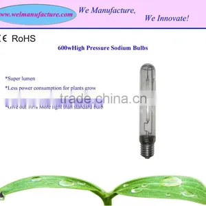 600w HPS Bulbs thumbnail-1