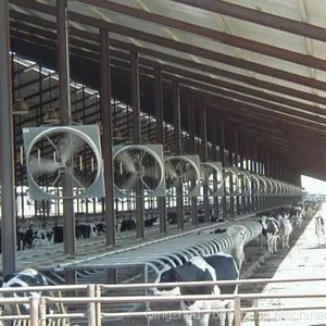 Cow House Belt Drive Cooling Fan Cattle Farm Hanging Fan thumbnail-3