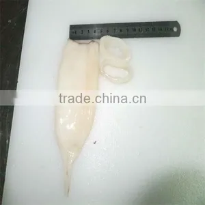 Best Seafood Frozen Squid U10 thumbnail-1