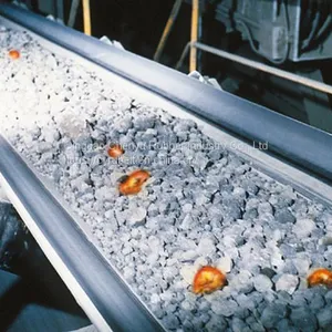Heat Resistant Conveyor Belt / EP Conveyor Belt/ Conveyor Belt thumbnail-4