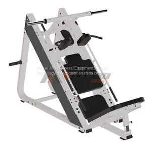 Plate Loaded Gym Equipment P3 Fitness Equipment thumbnail-1