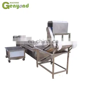 Green Peas Frozen Processing Machines/strawberry Quick Freezing Production Line/industrial Vegetable and Fruit Machine thumbnail-1