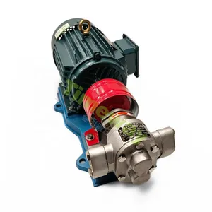 KCB Oil Transfer Pump Electrified Unit KCB33.3 Gear Type Fuel Pump With Motor 304 Stainless Steel Self-priming Pump thumbnail-1
