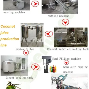 Shanghai Complete Coconut Processing Machines for Coconut Water Processing thumbnail-3