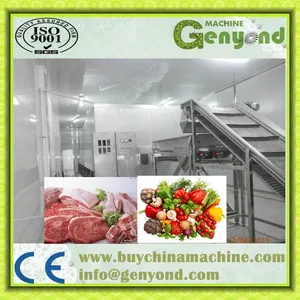 China Frozen Vegetable Production Line/Green Peas Quick Freezing Processing Machine thumbnail-4