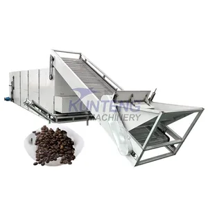 Large Scale Industrial Banana Flower Black Pepper Cardamom Turmeric Mesh Belt Dryer EPC thumbnail-1