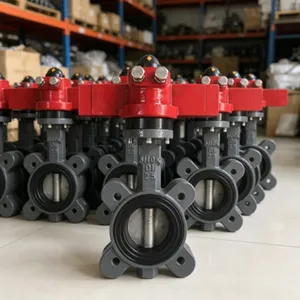 GB/T3036-94 Vessel Hydraulic Butterfly Valve Single Side Detachable Semi-Lug Body thumbnail-3