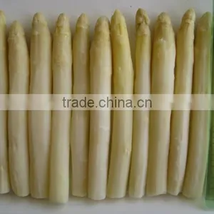 2016 Crop Chinese Frozen Iqf White Asparagus Center Cuts thumbnail-5
