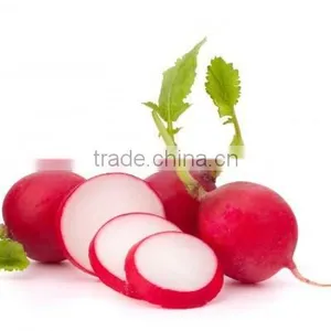 High Quality Facial Radish Oil thumbnail-1