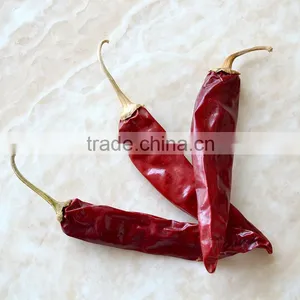 Serve Chinese Dry American Red Hot Chili thumbnail-1