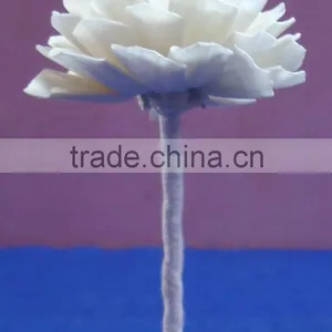 Flower for Decoration thumbnail-5