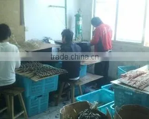 Taizhou City Jiaojiang Zheshang Glasses Factory company overview - view 1 thumbnail