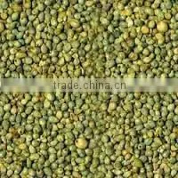 Bajra thumbnail-1