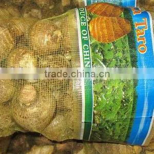 New Fresh Taro for Middle East Market thumbnail-1