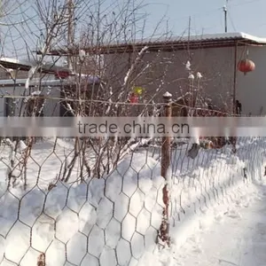 High Quality PVC Coated Gabion Mesh / Gabion Baskets China Factory thumbnail-5
