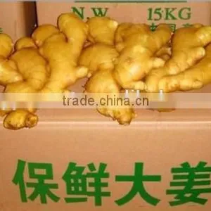 New Crop Ginger Importing Countries With High Quality thumbnail-1