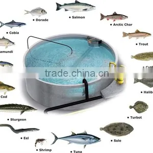 RAS/Recirculation Aquaculture System Layout Design/indoor Fish Farming Design thumbnail-1