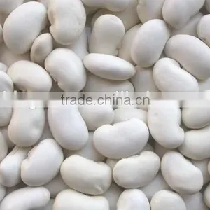 Chinese Large White Kidney Beans for Sale thumbnail-2