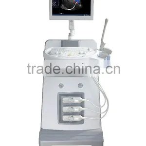 Doppler Ultrasound Equipment,Portable Color Doppler Ultrasound Machine Type Ultrasound Scanner DCU6 thumbnail-4
