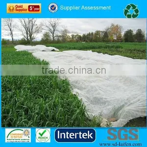 100% Virgin PP Spunbond Nonwoven Fabric for Agriculture, Industury, Upholstery, Medical thumbnail-3