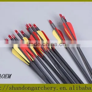 Archery Carbon Fiber Arrows With Plastic Vanes Fit For Compound Bow thumbnail-1