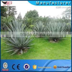 Durable 2 Tons High Capacity Sisal Hemp Decorticator Machine thumbnail-4