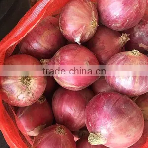 China Origin Onion Ton Market Price for Red Onion thumbnail-1