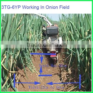 186F Diesel Tobacco Cultivator Hilling Machine thumbnail-5