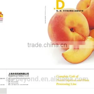 Complete Peach Fruit Processing Line thumbnail-1