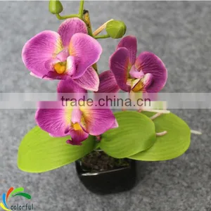 Artificial Potted Orchids thumbnail-3